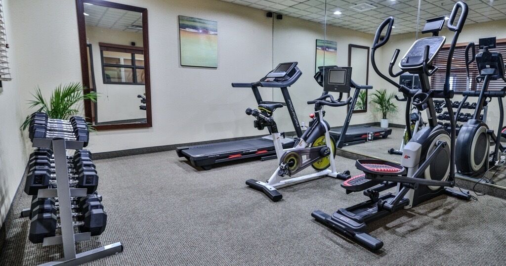 A gym with treadmills, elliptical machines, and a rack of dumbbells.