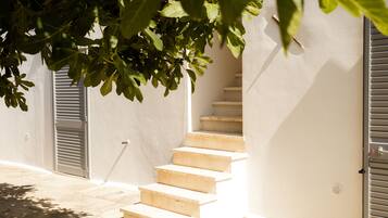 Facciata della struttura