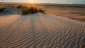 A beach with sand dunes and the ocean in the background. - Apartment in Nieuwpoort by Scenic Beaches (Nieuwpoort)