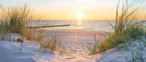 Nära stranden