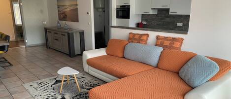 Älytelevisio, DVD-soitin