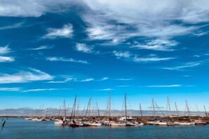 A marina with multiple sailboats docked.