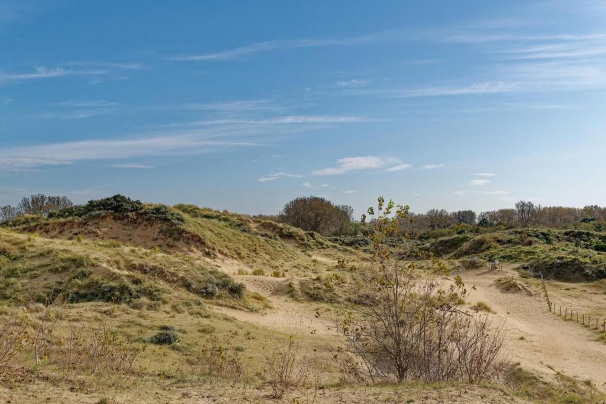 A natural landscape with a dirt path and sparse vegetation.