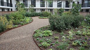 A courtyard with a gravel path, surrounded by various plants and a fence.