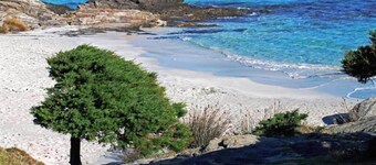 Lejlighed i Stintino ved Pelosa Strand