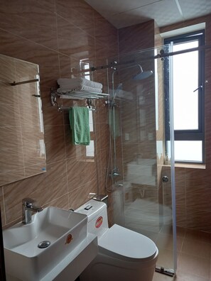 Shower, hair dryer, bidet, towels