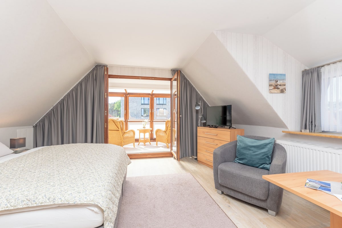 Une chambre avec un lit, un canapé, une télévision, un bureau et un balcon.