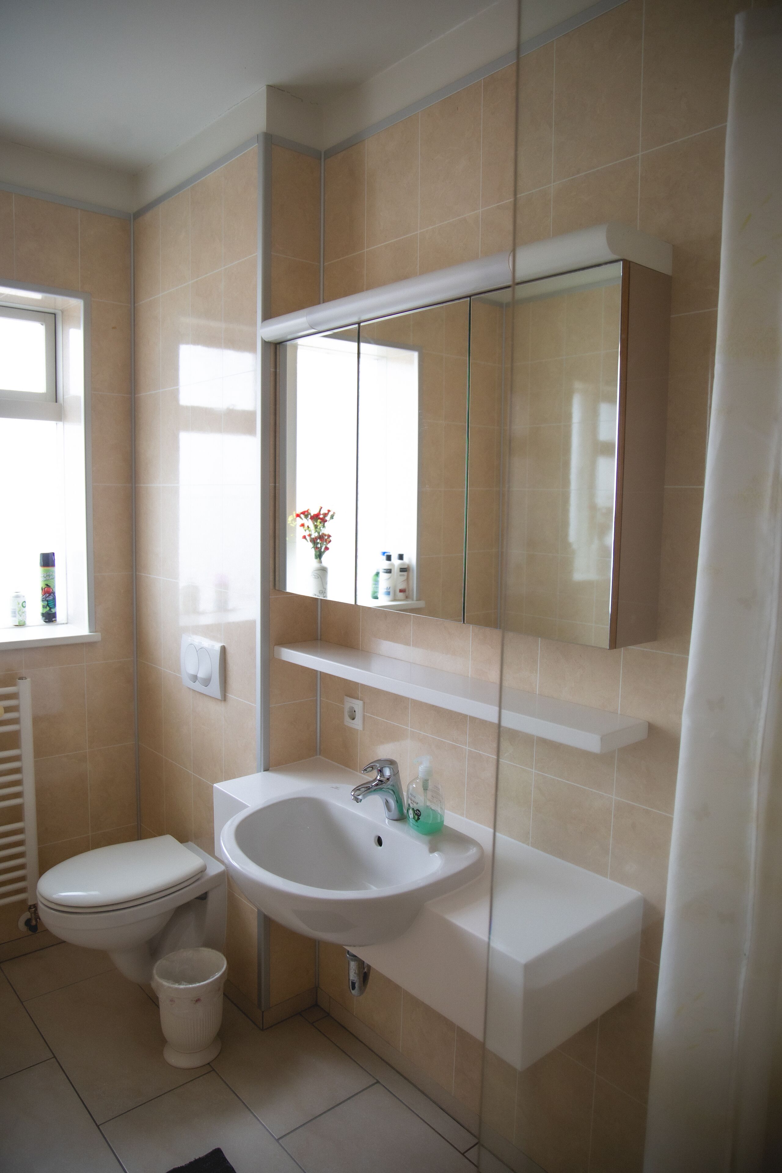 Un baño con inodoro, lavamanos y espejo.