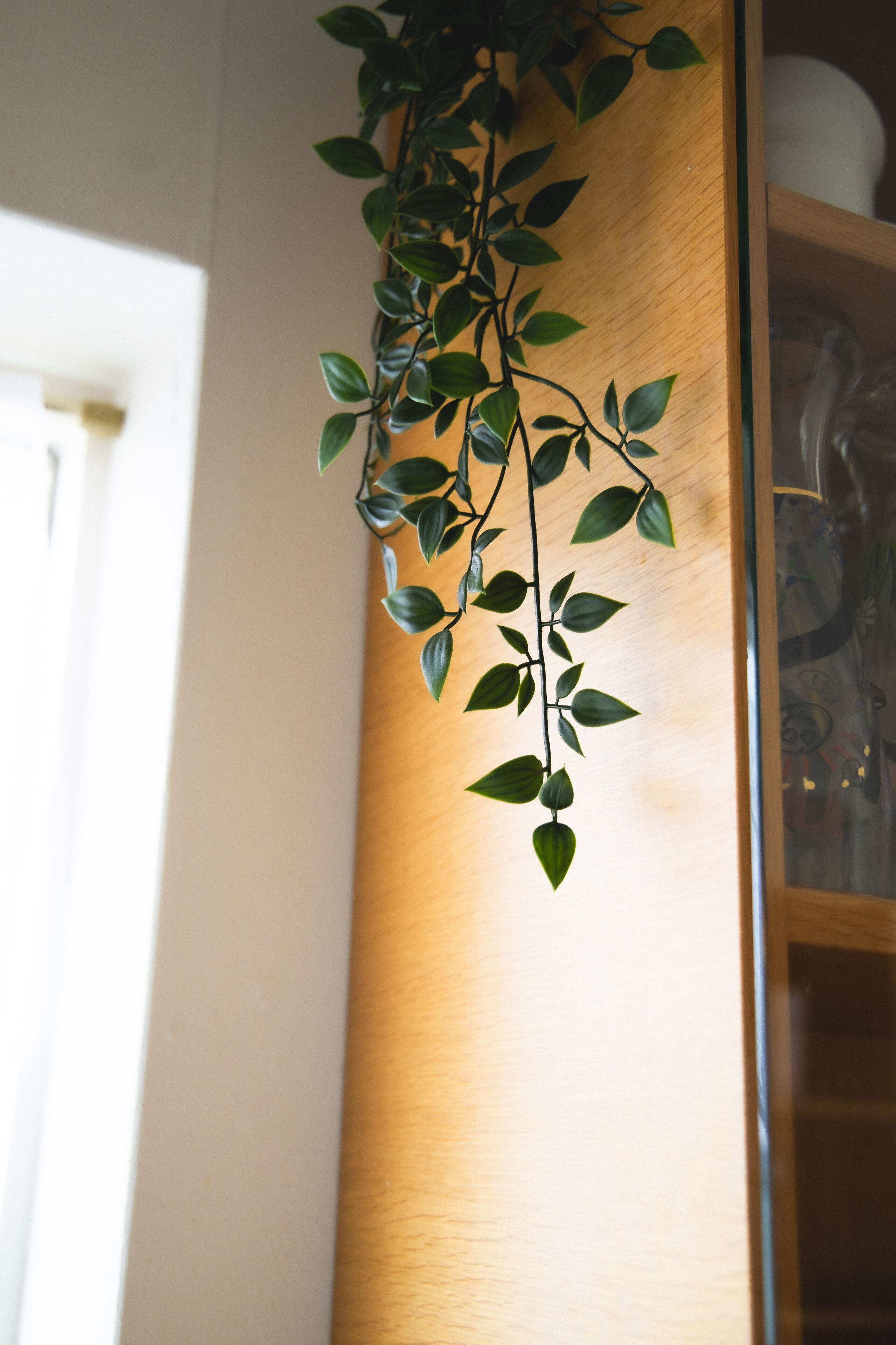 Pared de madera con una planta colgante.