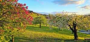 A rural landscape with trees in full bloom, a grassy field, and a distant building. - Cinéma Enchanté - cinéma & bain nordique (Siviriez)