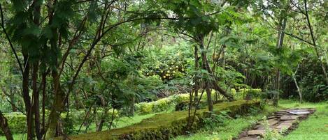 宿舍, 1 间卧室, 无障碍, 吸烟房 | 花园