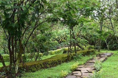 Jardín. Room in B&B - Red Rocks Rwanda - Tent Twin