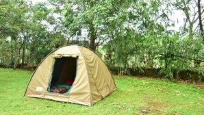 A beige tent set up on a grassy area with dense foliage in the background.