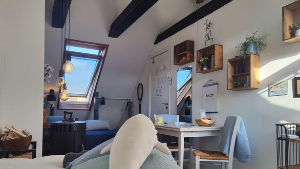 Ein gemütliches Schlafzimmer mit einem Bett, einem Schreibtisch und einem Sessel. Ein Fenster bietet Blick auf den Himmel, und ein Holzregal beherbergt Pflanzen und Bücher.
