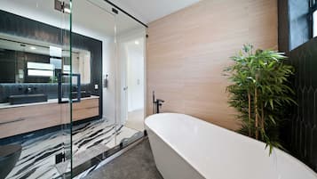 Shower, hair dryer, towels, shampoo