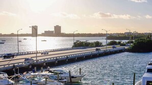 Een jachthaven met aangemeerde boten, een brug en een stadsachtergrond.