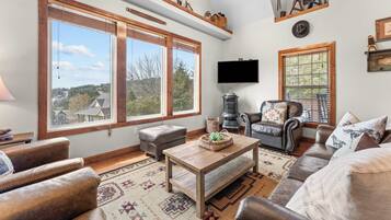 TV, fireplace, video games, DVD player