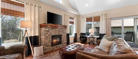 Televisión, chimenea, videojuegos y reproductor de DVD