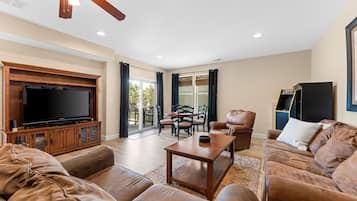 TV, fireplace, video games, DVD player