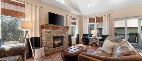 電視、壁爐、電子遊戲、DVD 播放機