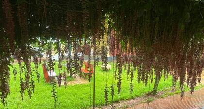 Enchanting 5-bedroom resort in Chikmangaluru