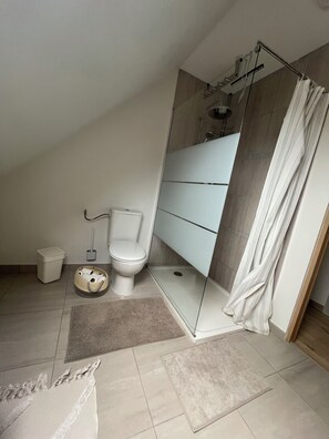 Shower, hair dryer, bidet, towels