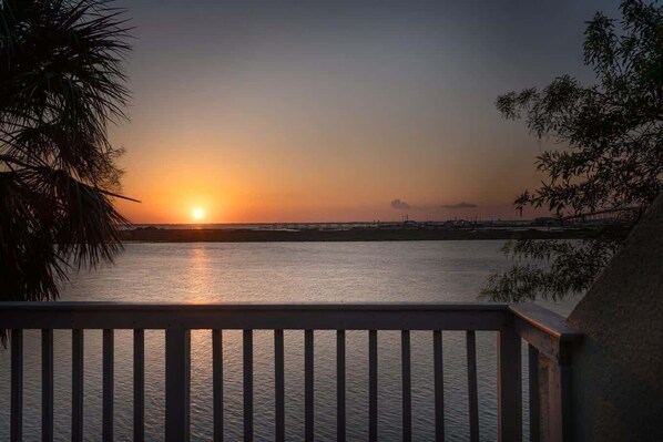 Property grounds - Waterfront | Shared Pool | Games + Winter Deals! (Corpus Christi)