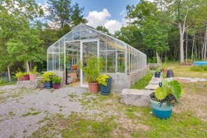 A greenhouse with a transparent roof, surrounded by potted plants and a gravel path.