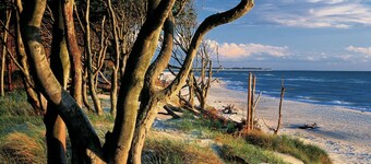 dat Hus ist ein 150 Jahre Altes, Reetgedecktes Seefahrerhaus