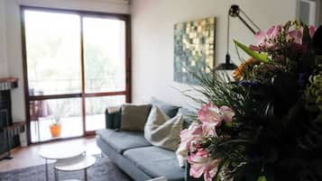 Televisión y chimenea
