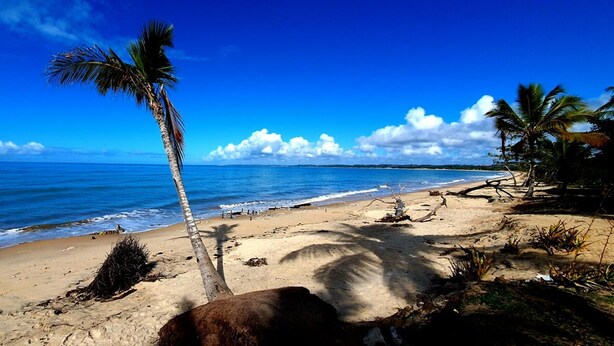 A beach with clear blue water, a palm tree, and a sandy shore. - Lovely 1-bed Chalet in Mutari/santa Cruz Cabralia (Santa Cruz Cabralia)