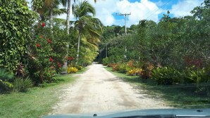 A dirt road flanked by lush greenery and palm trees, leading towards a residential area with houses and utility poles. - Lovely 1-bed Chalet in Mutari/santa Cruz Cabralia (Santa Cruz Cabralia)