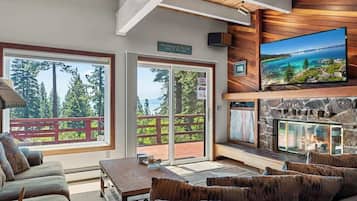 TV connectée, cheminée, lecteur de DVD, livres