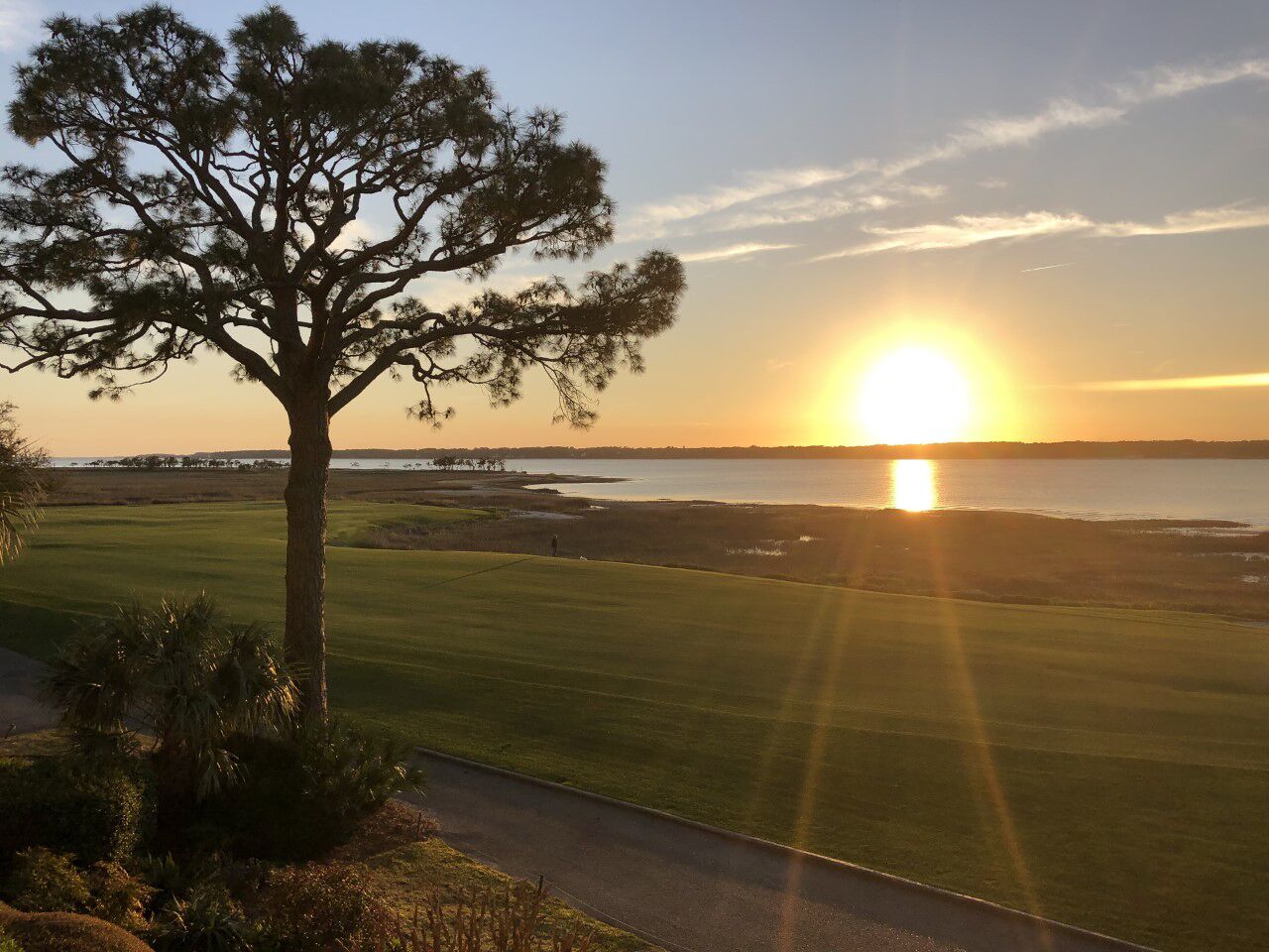 A golf course with a large tree and a sunset in the background.