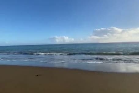Beach. Duplex beach house