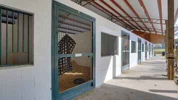 Apartment (0 Bedroom) | Interior