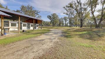 Apartment (0 Bedroom) | Interior