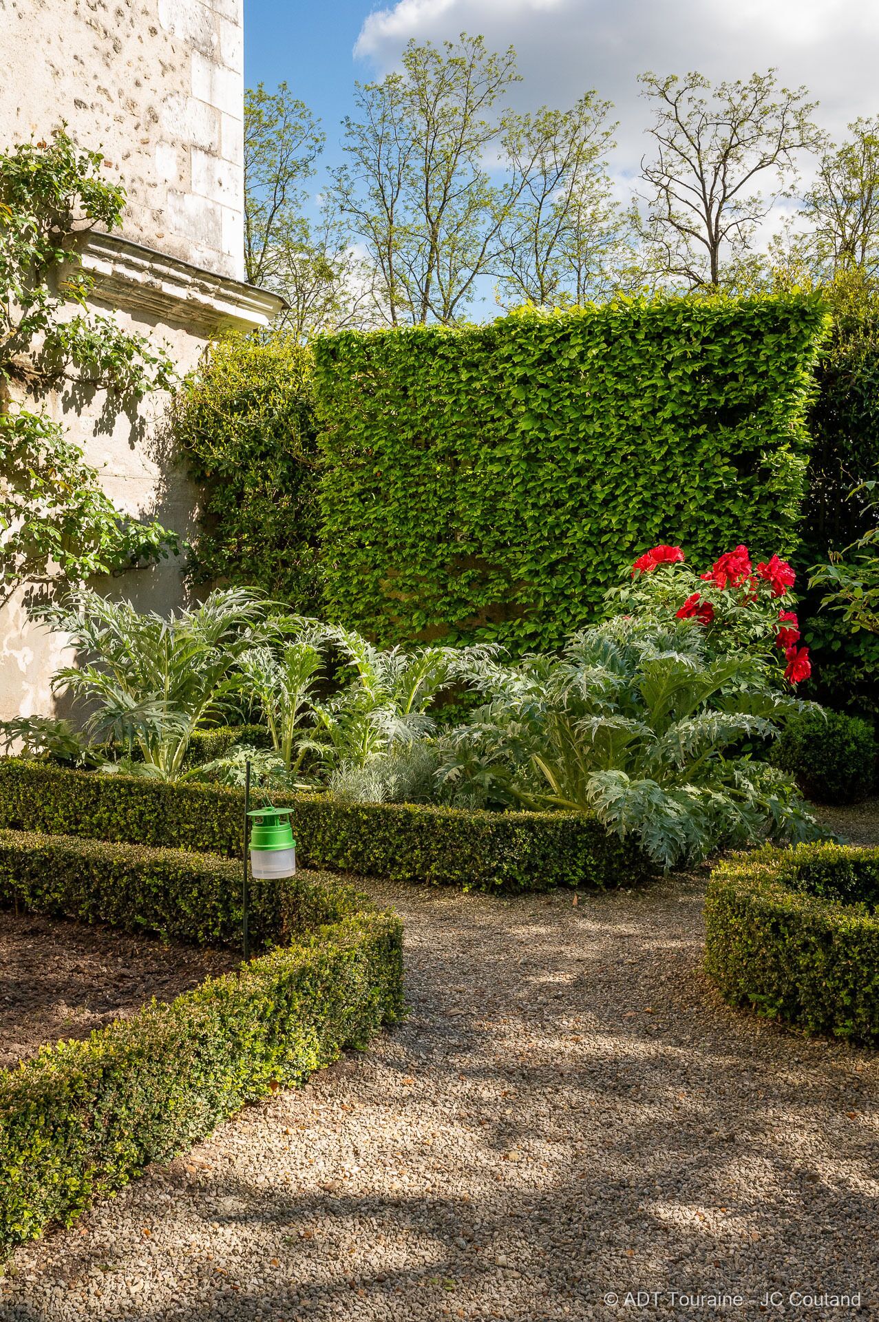 Un jardin bien entretenu, agrémenté de diverses plantes et doté d’un chemin de gravier.