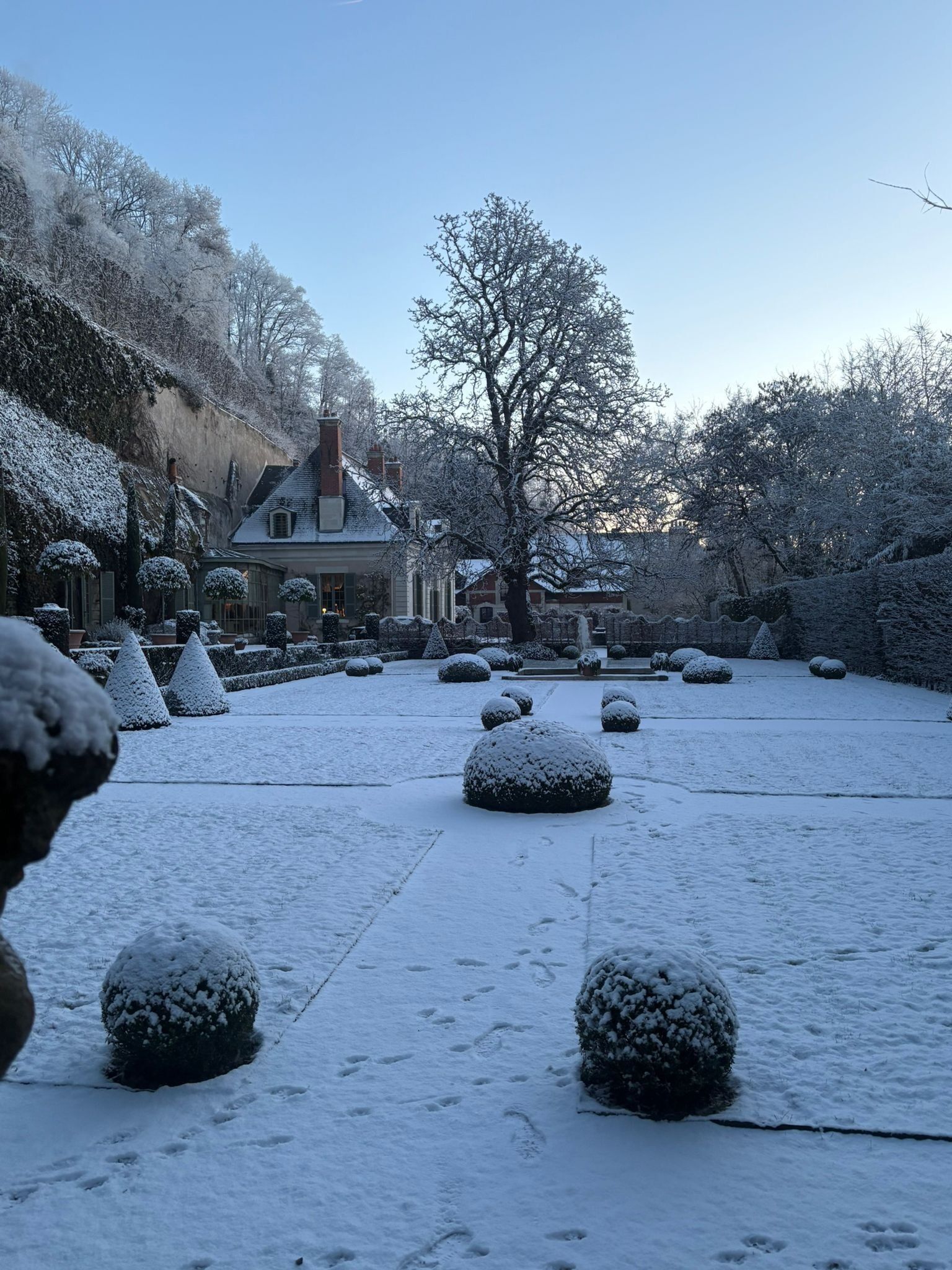 A snow-covered garden with a house, trees, and snow-covered bushes.
