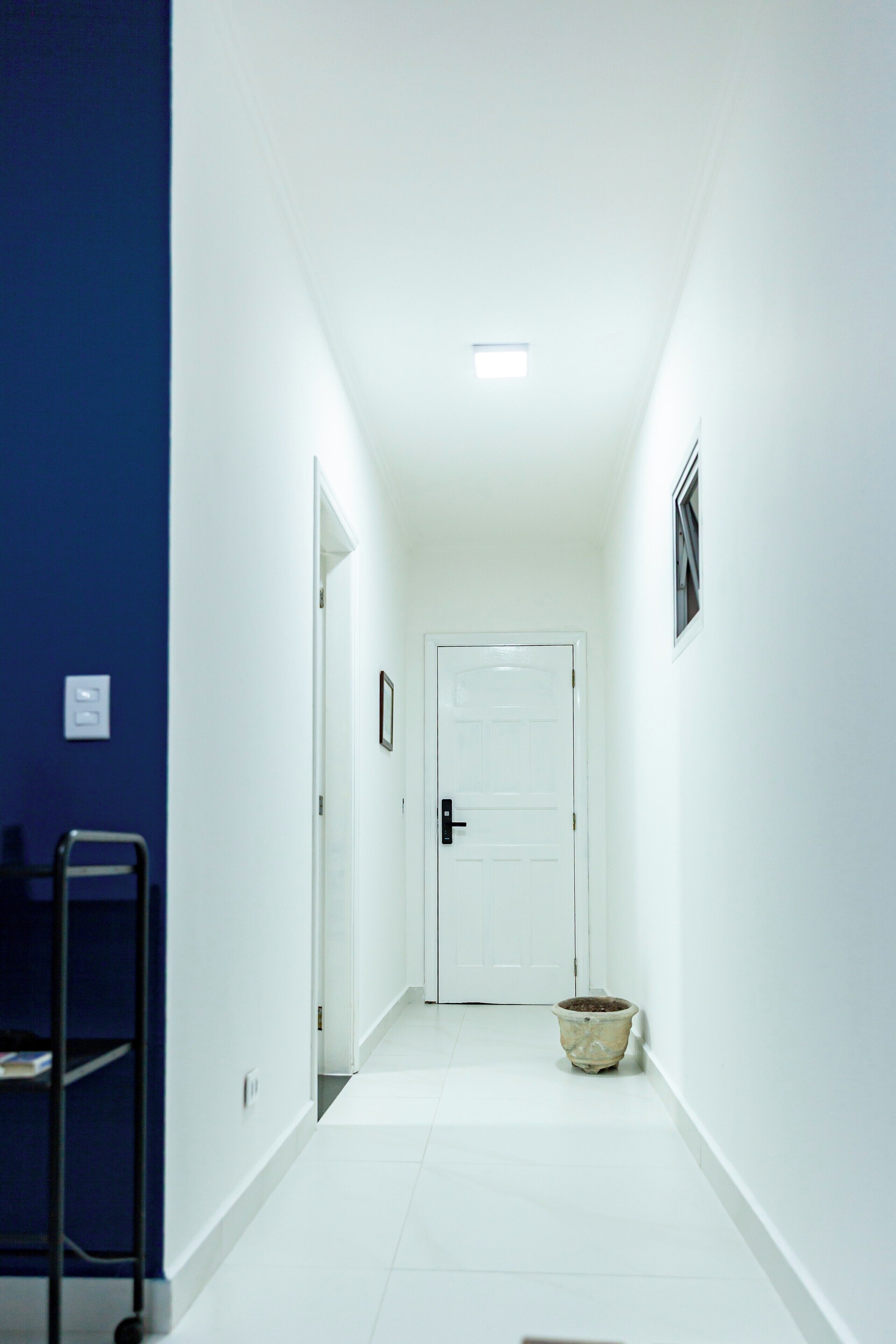 A narrow hallway with white walls, a blue accent wall, a white door at the end, and a small potted plant.