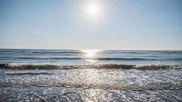 Playa en los alrededores