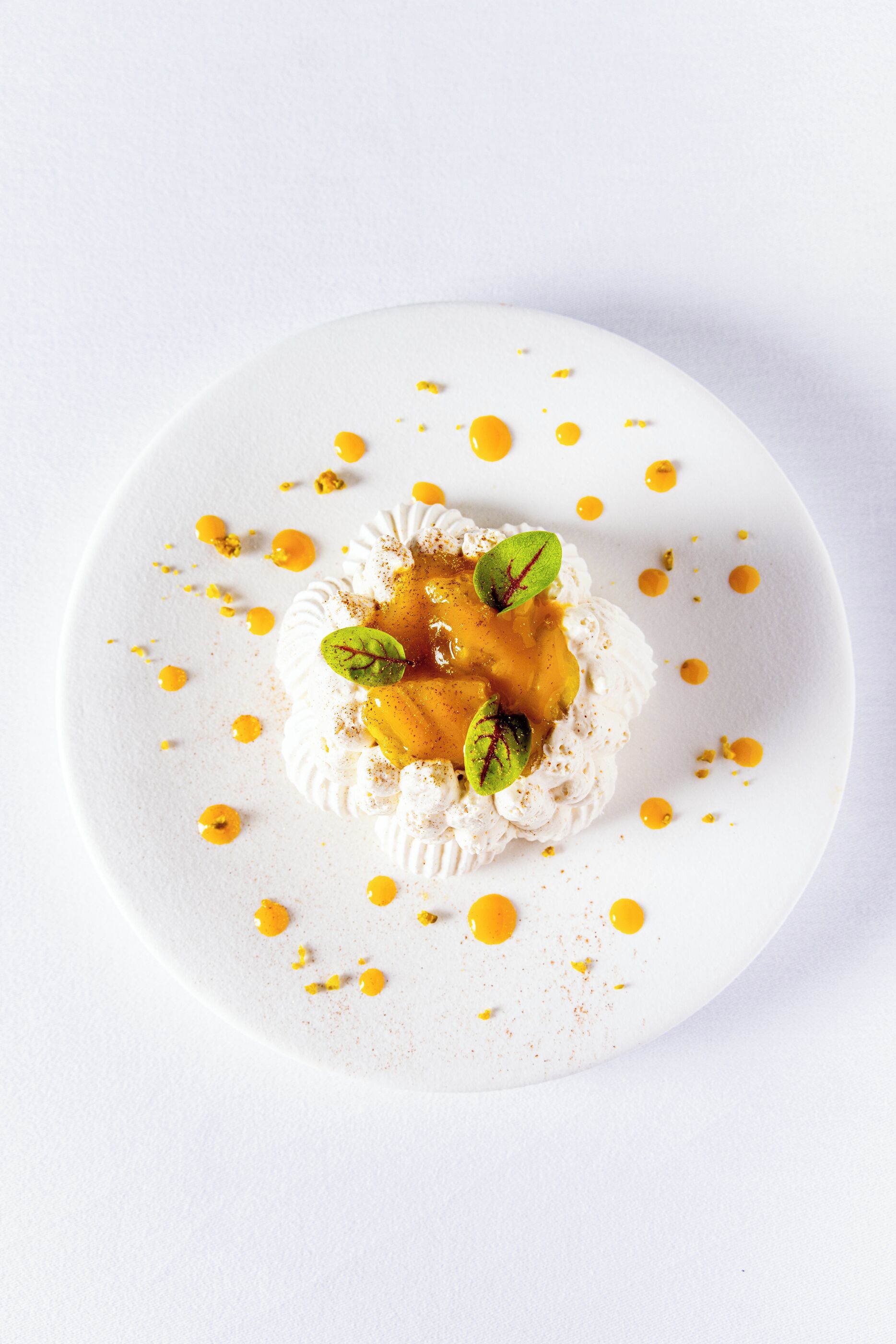 A white plate with a dessert featuring whipped cream, a caramel sauce, and mint leaves.