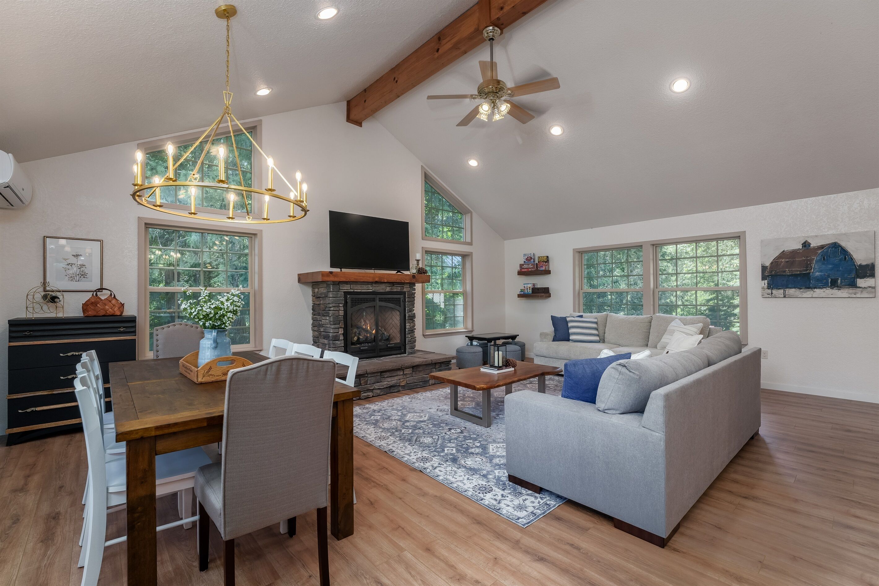 Smart TV, fireplace, video games, books