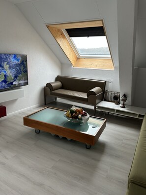 Smart TV, fireplace, DVD player, books