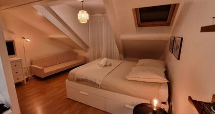 EN CENTRE VILLE ACCĂS RAPIDE DISNEY&PARIS PROCHE GARE