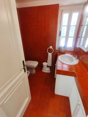 Shower, hair dryer, bidet, towels