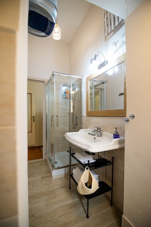 Shower, hair dryer, bidet, towels