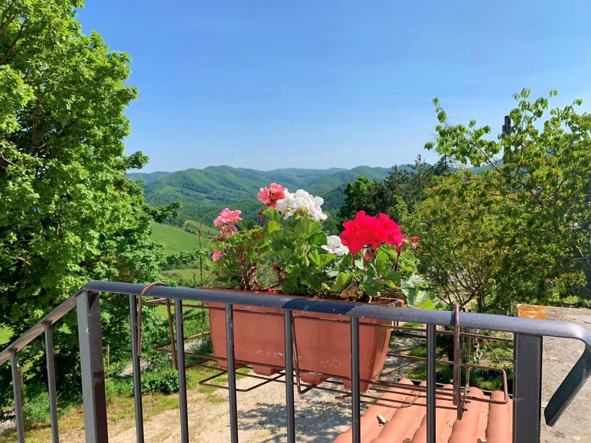Vista dalla struttura