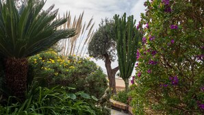 Un sendero de grava en un jardín, rodeado de diversas plantas y árboles.