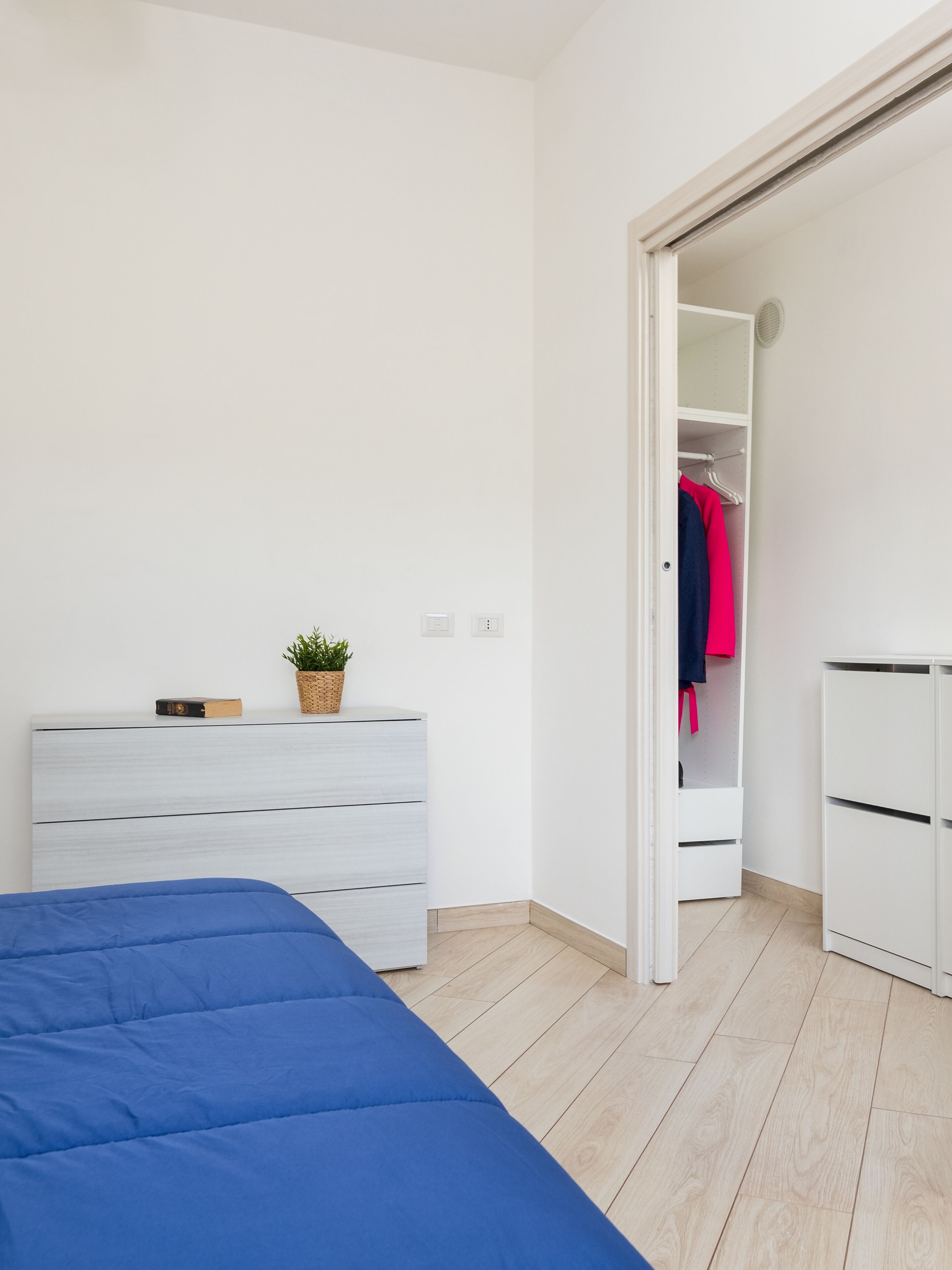 A bedroom with a bed, a dresser, a closet, and a small plant on the dresser.